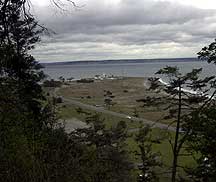 view from bench